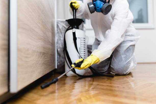Best Flea Control Services  in Vista Center, NJ