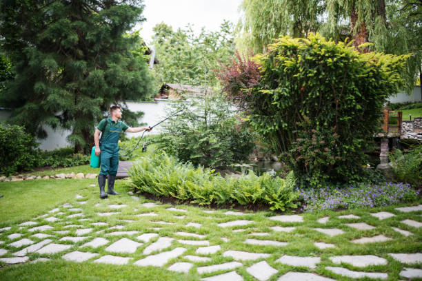 Best Wasp Removal Services  in Vista Center, NJ
