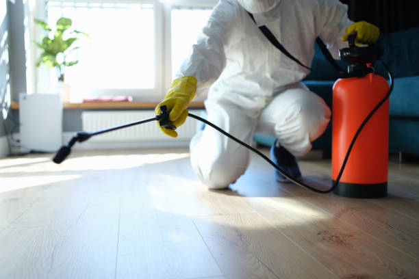 Flea Control Services in Vista Center, NJ