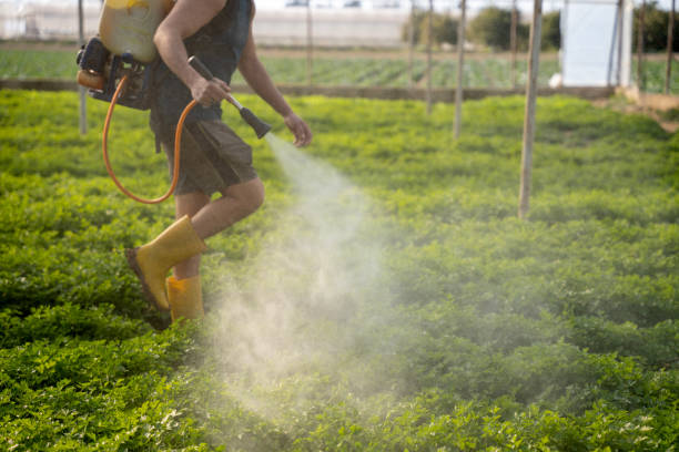 Best Best Pest Control Companies  in Vista Center, NJ