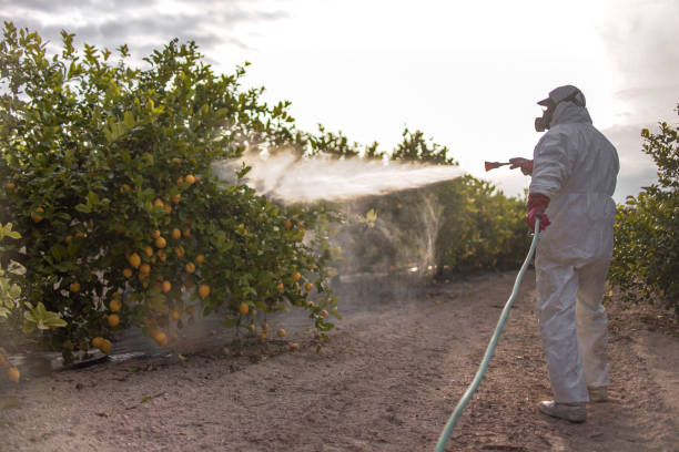 Best Pest Control for Homes  in Vista Center, NJ