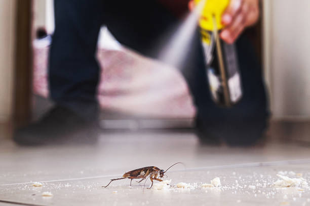 Best Mosquito Control Services  in Vista Center, NJ