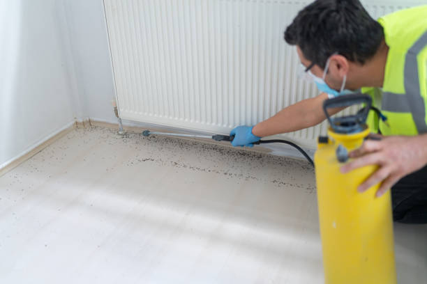 Best Pest Removal Services  in Vista Center, NJ
