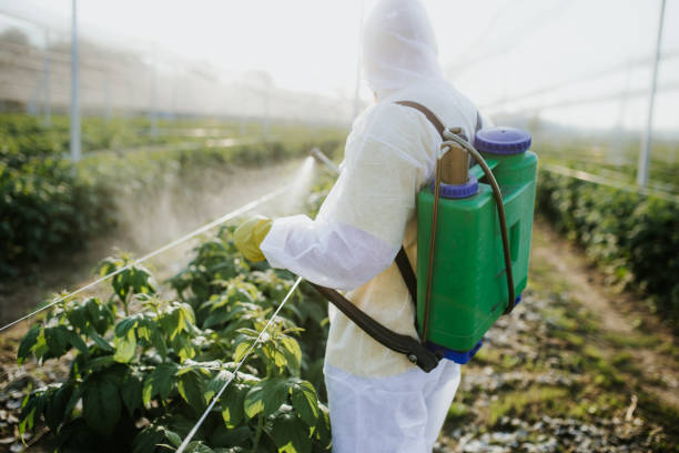 Pest Prevention Services in Vista Center, NJ